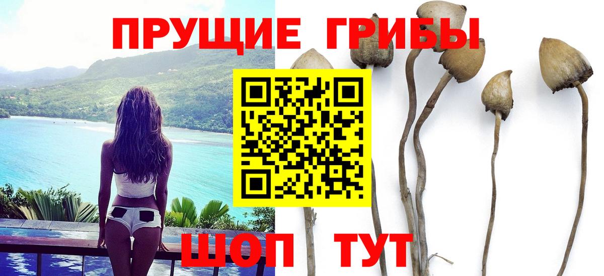 Белгород  Псилоцибиновые грибы ЛСД  Вход с VPN 